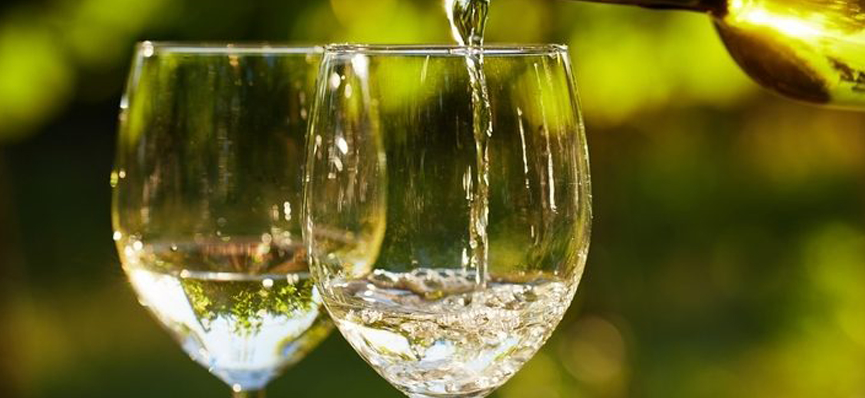 PAIRING WINE WITH SHRIMP