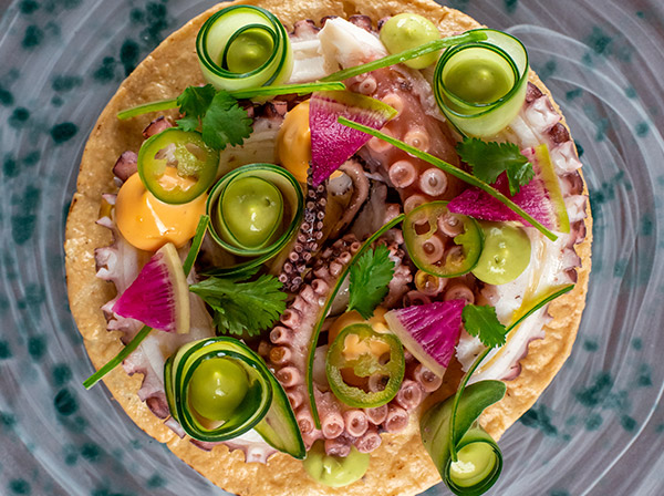 Octopus tostadas