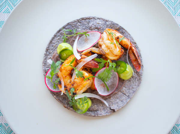 BLUE CORN SHRIMP TACOS